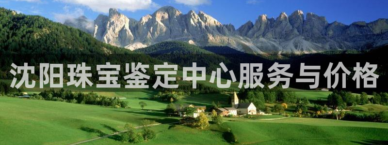 新宝5下载：沈阳珠宝鉴定中心服务与价格