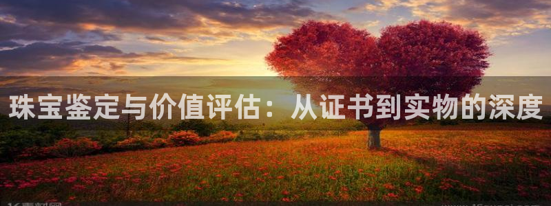 新宝5测登录：珠宝鉴定与价值评估：从证书到实物的深度