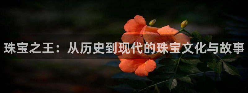 新宝娱乐5：珠宝之王：从历史到现代的珠宝文化与故事