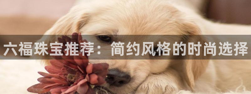 新宝5娱乐方：六福珠宝推荐：简约风格的时尚选择