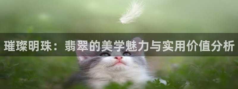 新宝5-测速：璀璨明珠：翡翠的美学魅力与实用价值分析