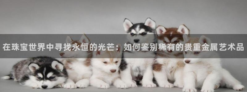 新宝5日740005蔻：在珠宝世界中寻找永恒的光芒：如何鉴别稀有的贵重金属艺术品