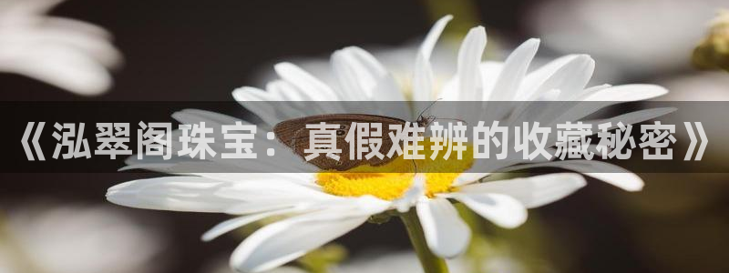 新宝5开户：《泓翠阁珠宝：真假难辨的收藏秘密》