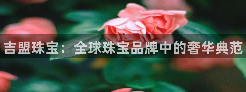 2022新宝骏rs 5：吉盟珠宝：全球珠宝品牌中的奢华典范