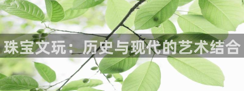 新宝 5测速：珠宝文玩：历史与现代的艺术结合