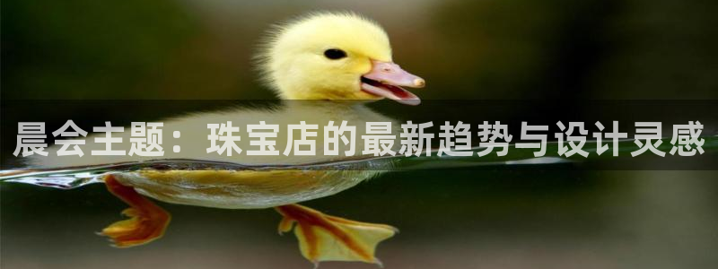 新宝5测试：晨会主题：珠宝店的最新趋势与设计灵感