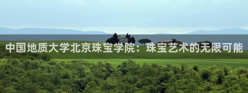 新宝5登录平台：中国地质大学北京珠宝学院：珠宝艺术的无限可能