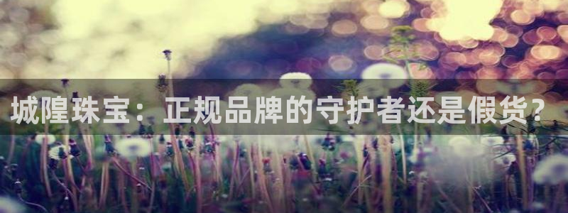 新宝5测速平台登录：城隍珠宝：正规品牌的守护者还是假货？