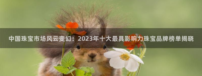 新宝5电脑登录网址：中国珠宝市场风云变幻：2023年十大最具影响力珠宝品牌榜单揭
