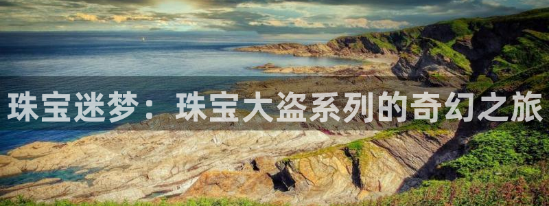 新宝股东王听2 5 5：珠宝迷梦：珠宝大盗系列的奇幻之旅