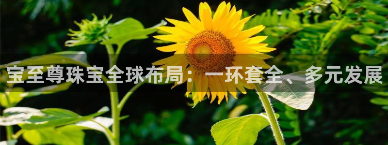 新宝5尤74OOO5：宝至尊珠宝全球布局：一环套全、多元发展