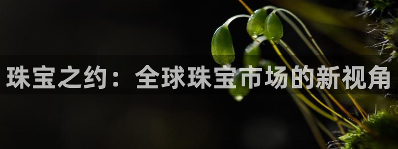 新宝5下载app：珠宝之约：全球珠宝市场的新视角