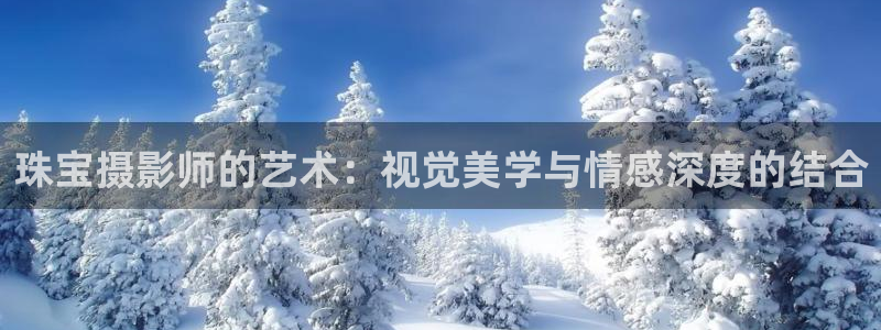 新宝5开好：珠宝摄影师的艺术：视觉美学与情感深度的结合