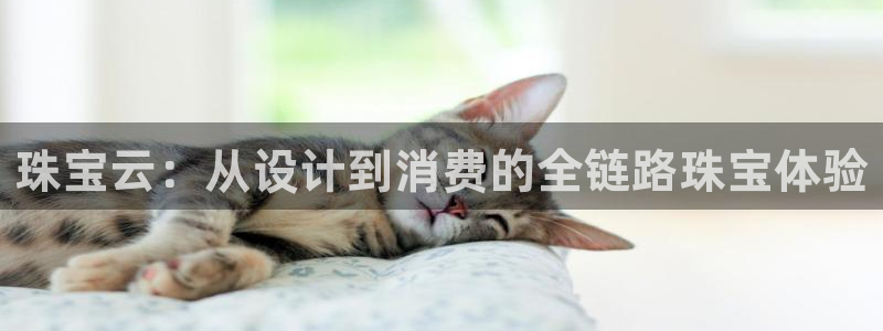 新宝h2O5O5O：珠宝云：从设计到消费的全链路珠宝体验