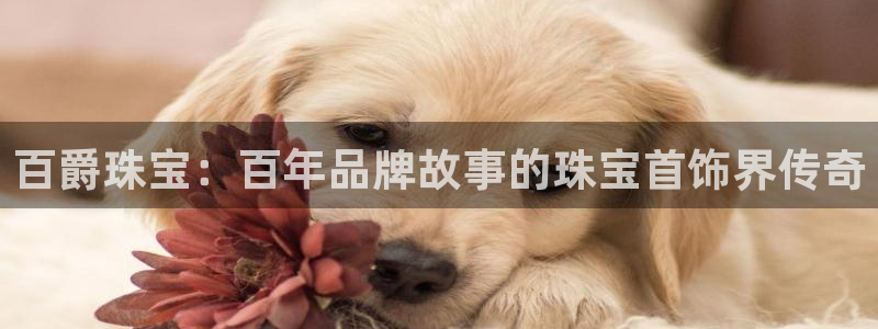 新宝5手机平台登陆：百爵珠宝：百年品牌故事的珠宝首饰界传奇