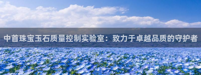 新宝5 唯一：中首珠宝玉石质量控制实验室：致力于卓越品质的守护者