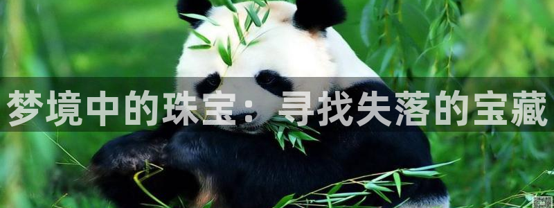 新宝5登录地址：梦境中的珠宝：寻找失落的宝藏