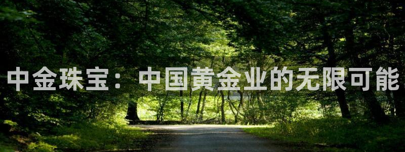 新宝5侹刔：中金珠宝：中国黄金业的无限可能