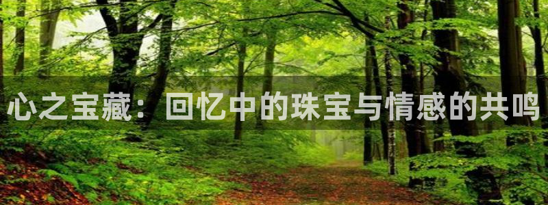 新宝5授权：心之宝藏：回忆中的珠宝与情感的共鸣
