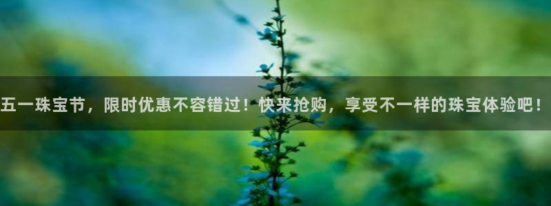 新宝5娱乐注册：五一珠宝节，限时优惠不容错过！快来抢购，享受不一样的珠宝体验吧！