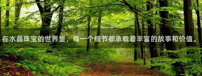 新宝5手机app：在水晶珠宝的世界里，每一个细节都承载着丰富的故事和价值。