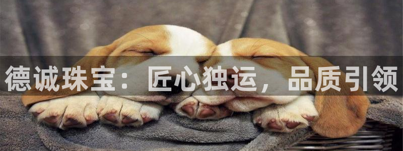 新宝5平台注册资金：德诚珠宝：匠心独运，品质引领