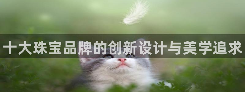 新宝5是什么：十大珠宝品牌的创新设计与美学追求