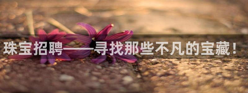 新宝5电脑登录网址：珠宝招聘——寻找那些不凡的宝藏！