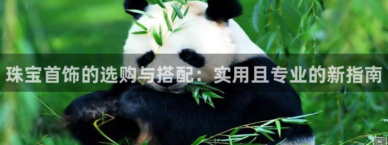 新宝5蒋7O667：珠宝首饰的选购与搭配：实用且专业的新指南
