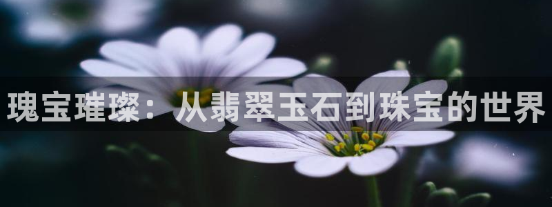新宝5在哪里：瑰宝璀璨：从翡翠玉石到珠宝的世界