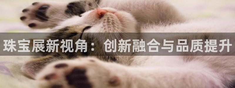 新宝5日：珠宝展新视角：创新融合与品质提升