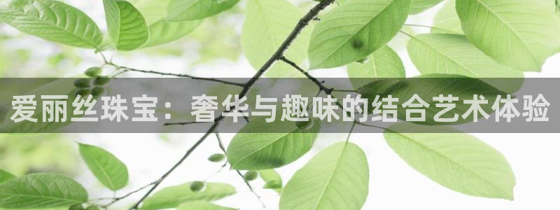 新宝5官方网站：爱丽丝珠宝：奢华与趣味的结合艺术体验