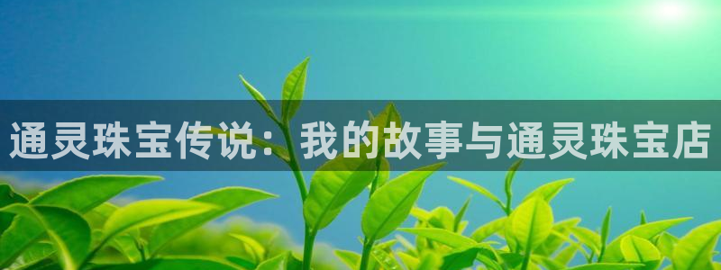 新宝5是什么样子的：通灵珠宝传说：我的故事与通灵珠宝店