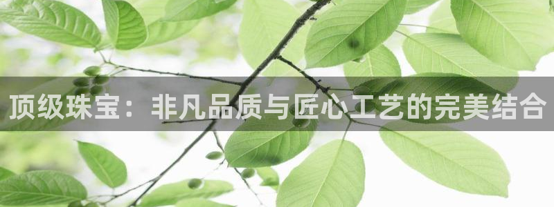新宝5周74OOO5：顶级珠宝：非凡品质与匠心工艺的完美结合