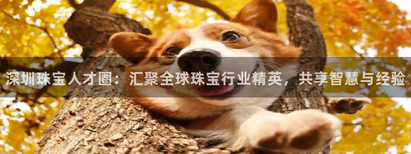 新宝娱乐5入口：深圳珠宝人才圈：汇聚全球珠宝行业精英，共享智慧与经验