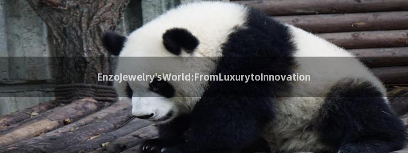 新宝5 唯一：EnzoJewelry\'sWorld:FromLuxurytoI